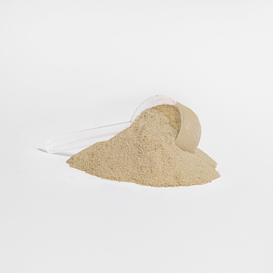 Advanced 100% Whey Protein (Vanilla)