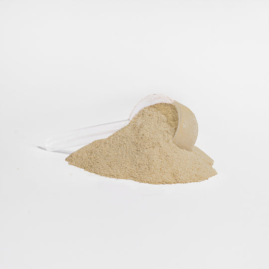 Advanced 100% Whey Protein (Vanilla)